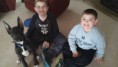 /album/photo-gallery-dixies-puppies/coal-and-fam-jpg1/